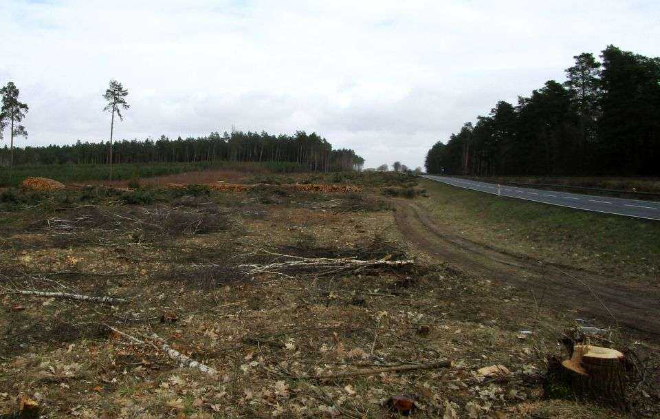 S6: odcinek Nowogard–Płoty. Źródło: GDDKiA